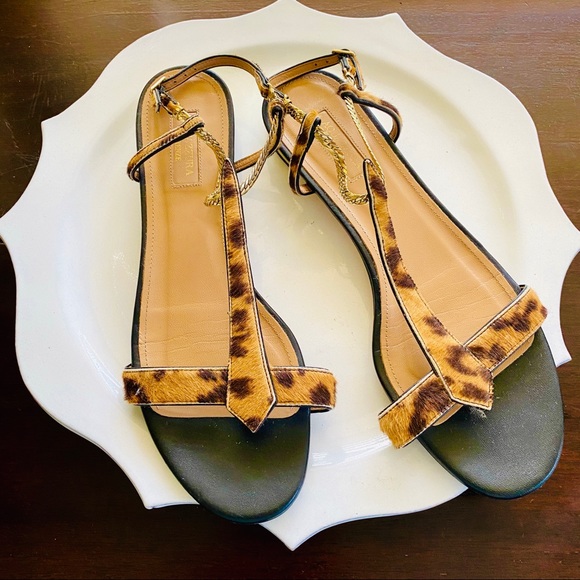 Aquazzura Shoes - Aquazurra leopard print calf hair flat sandals